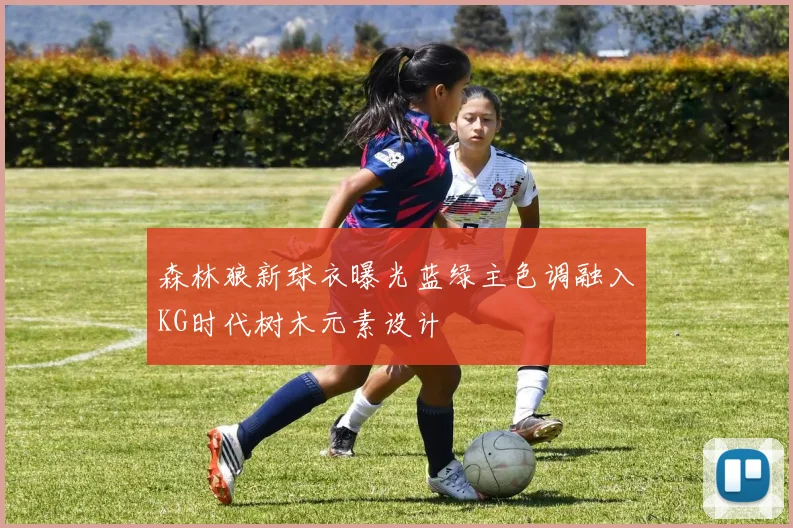 森林狼新球衣曝光蓝绿主色调融入KG时代树木元素设计